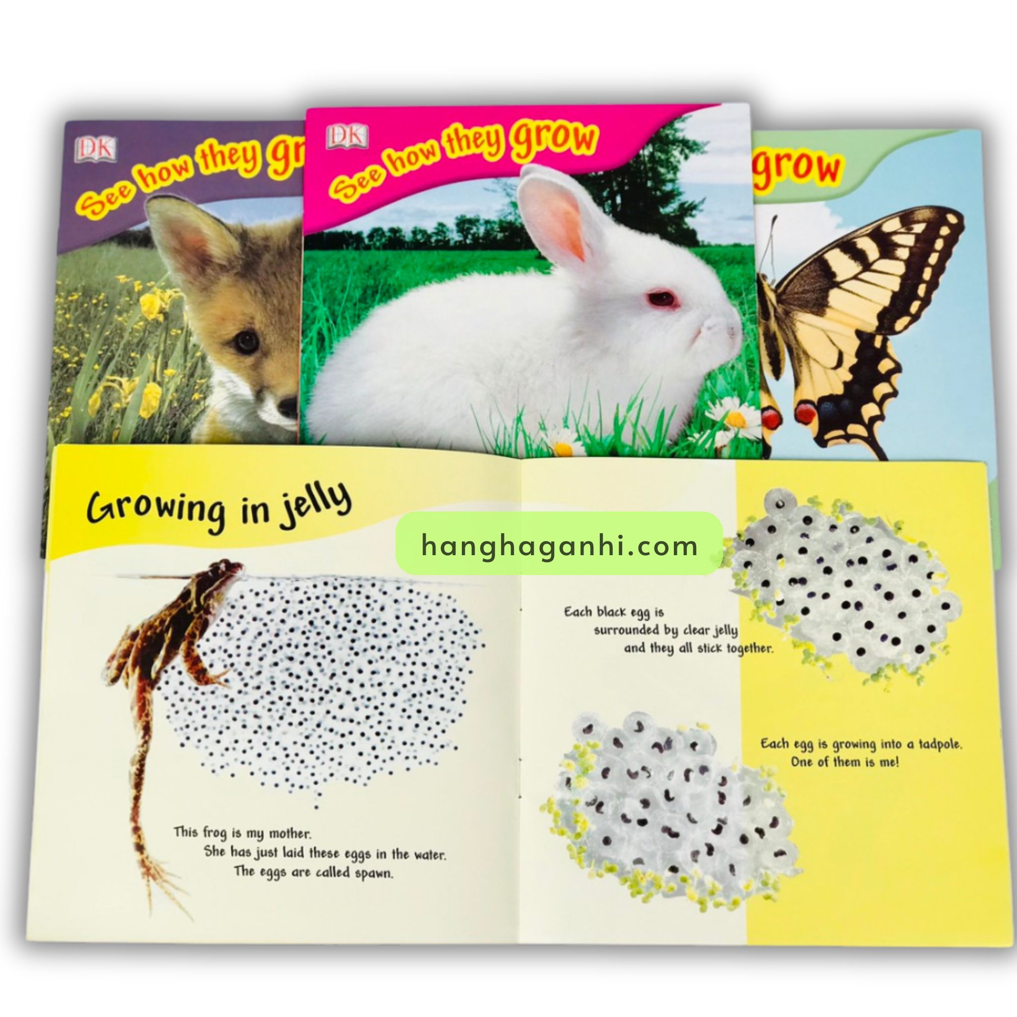 Bộ See How They Grow – Truyện về vòng đời các con vật – 14 Cuốn ( Kèm File Nghe)_thumbnail_5