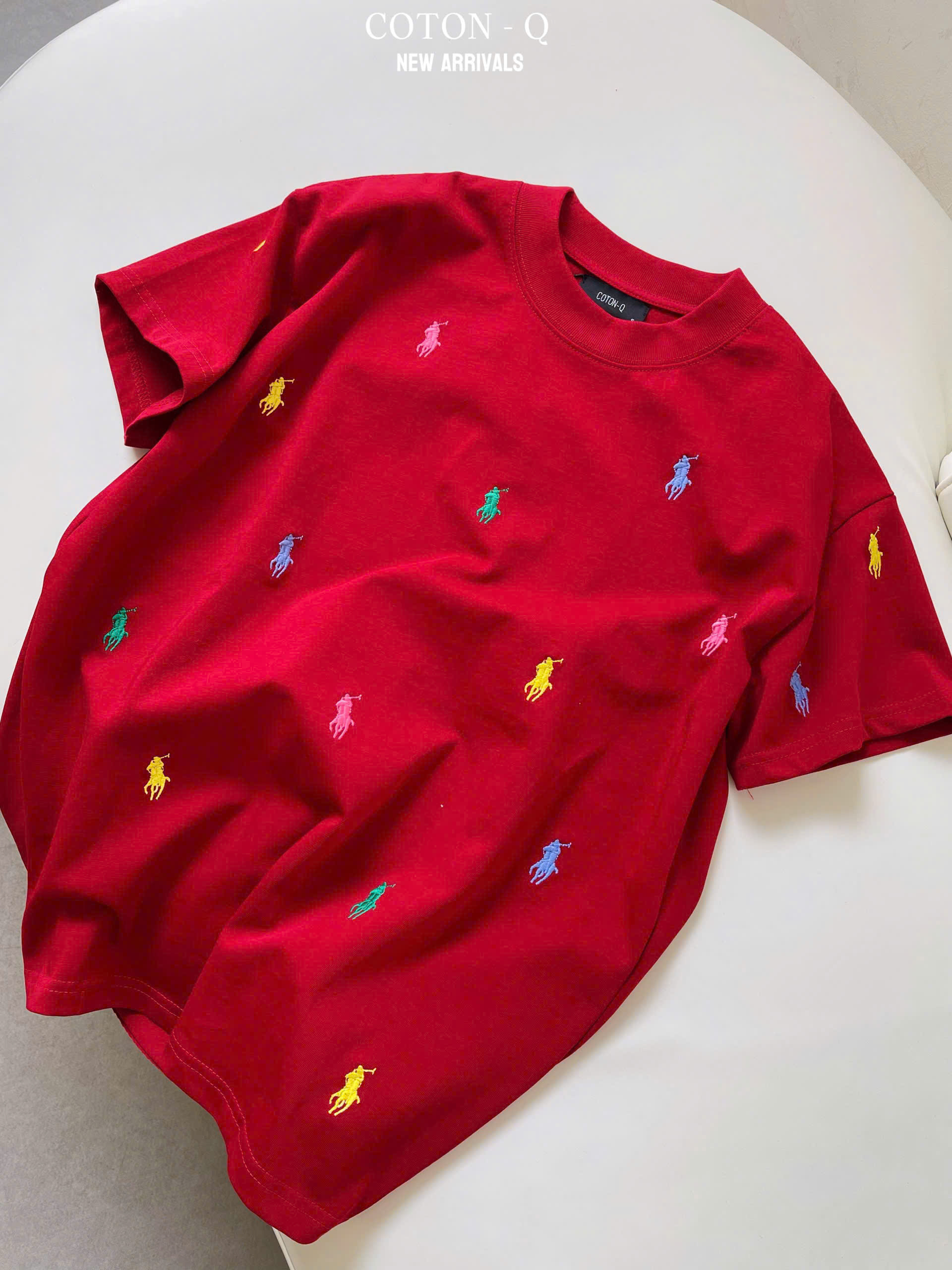 Áo thun thêu ngựa ( NGẪU NHIÊN )_thumbnail_4