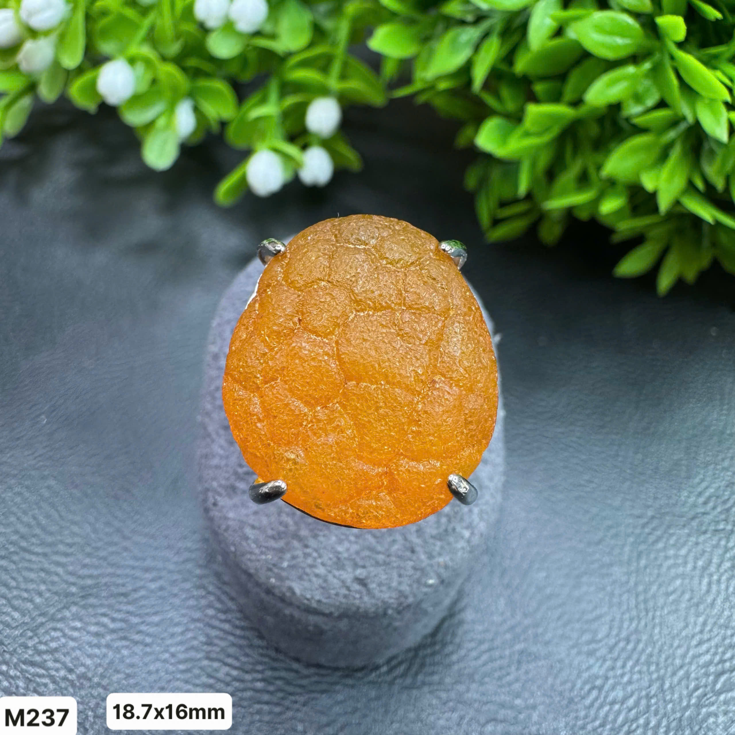 Nhẫn Giọt Bạc 925 - M237