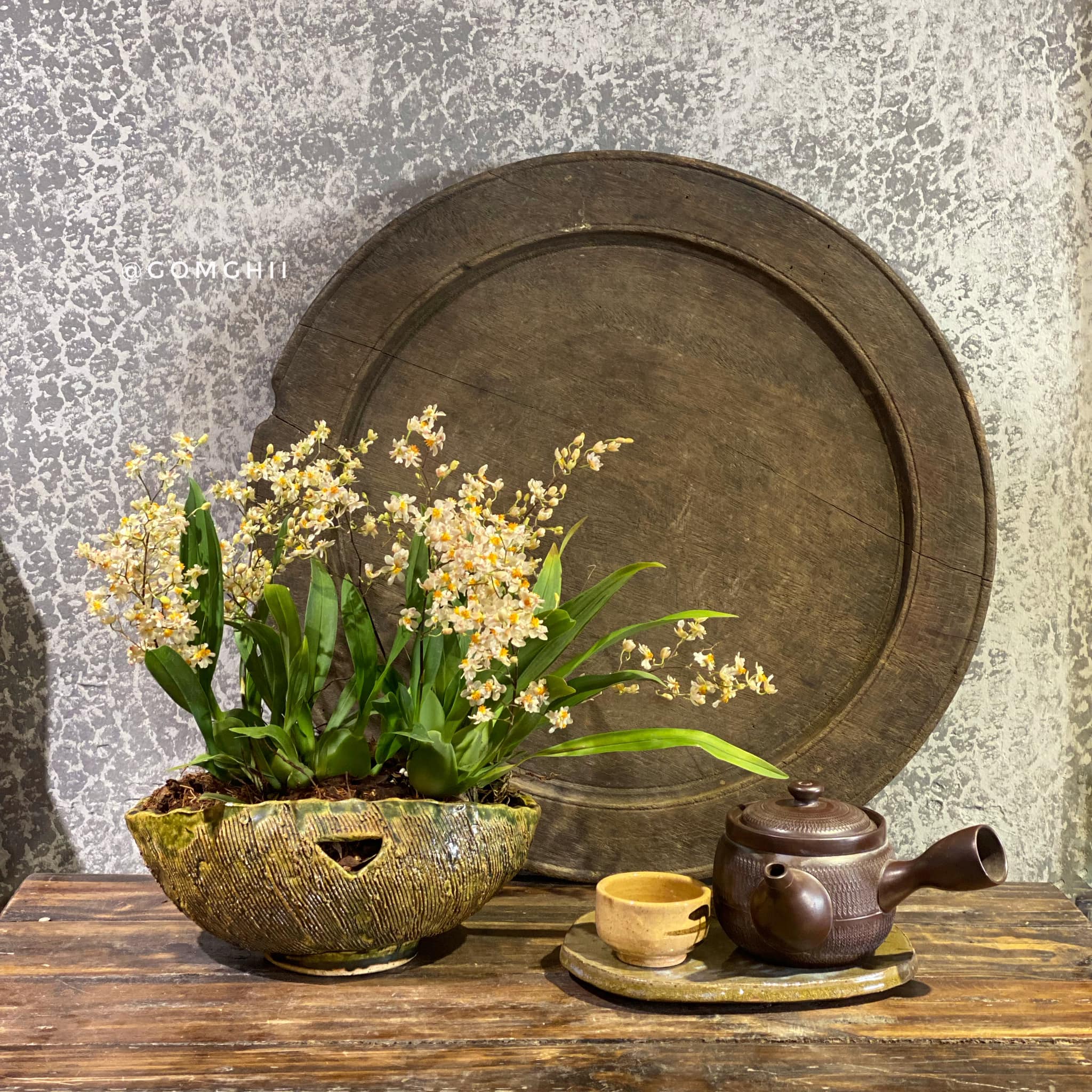 Mâm gỗ nguyên khối_4