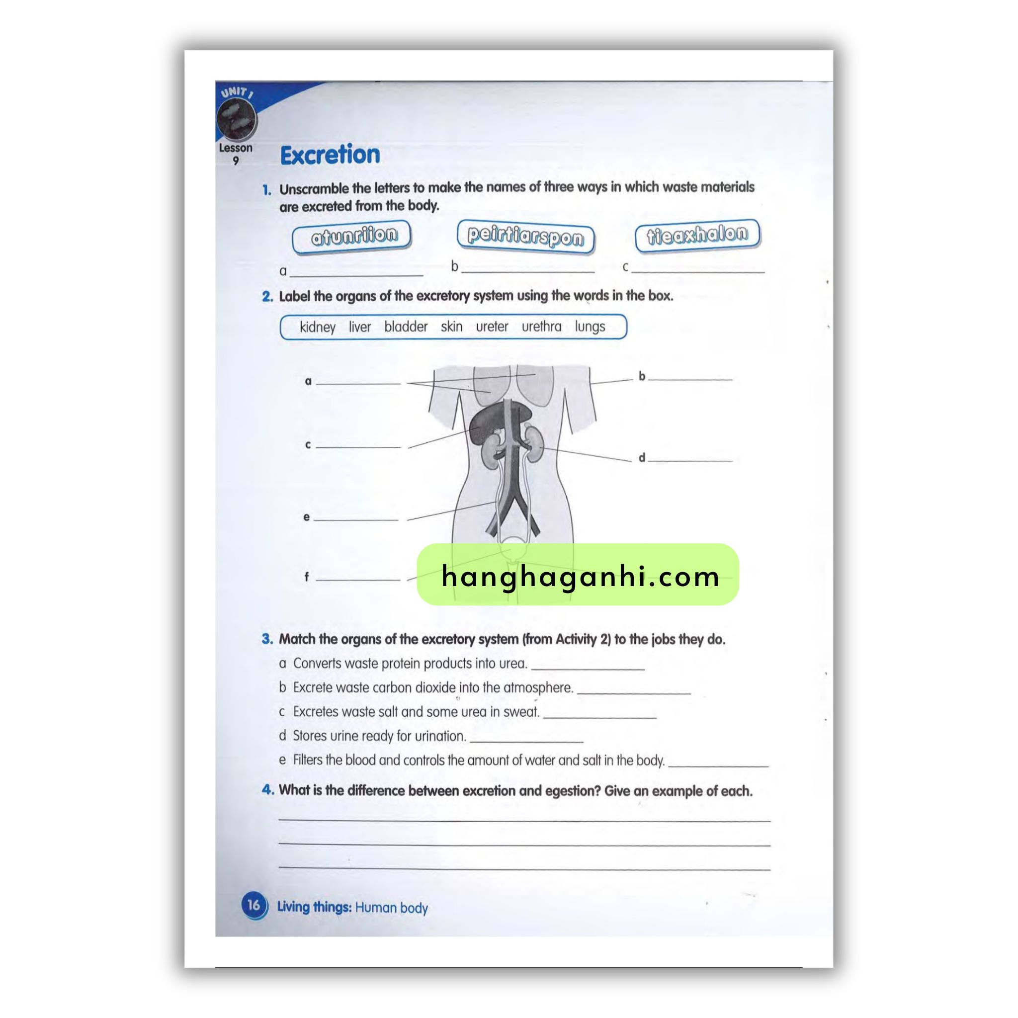 Macmillan Science 6 Workbook_thumbnail_13