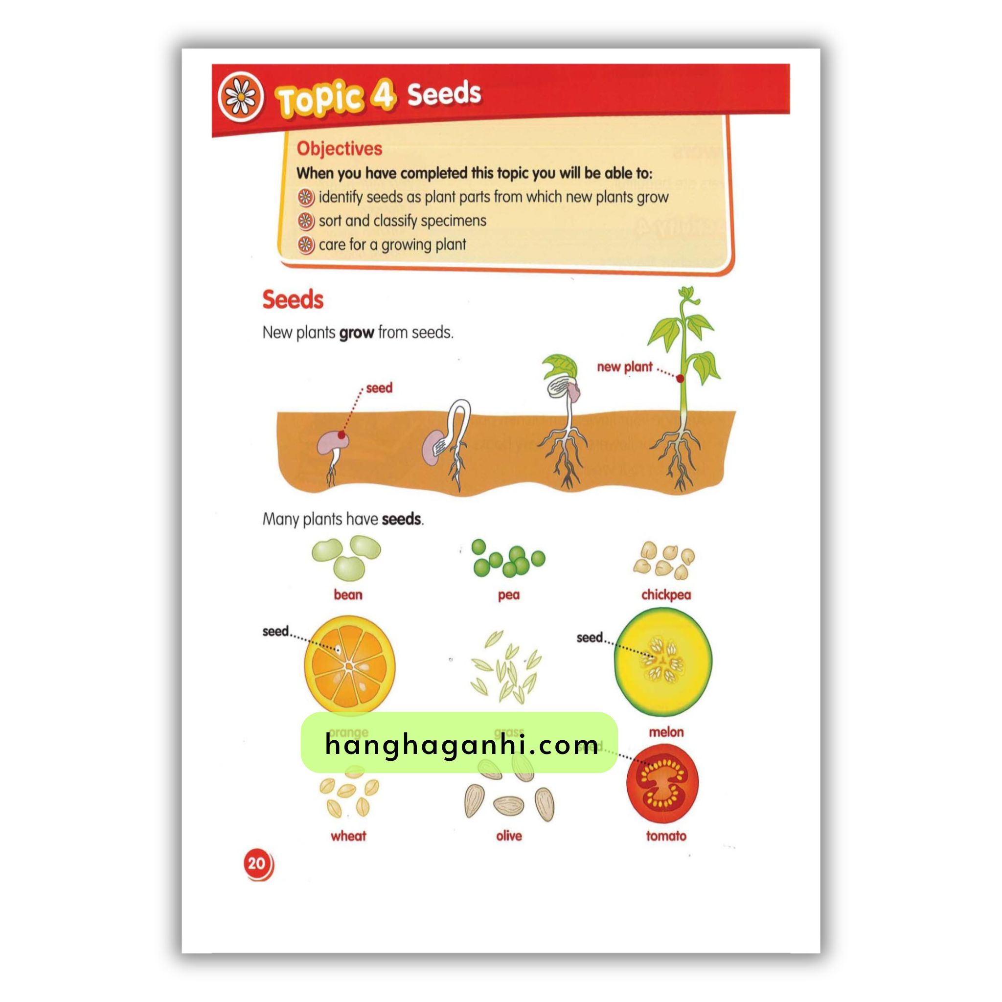 Macmillan Science 1 Pupil’s Book_thumbnail_6