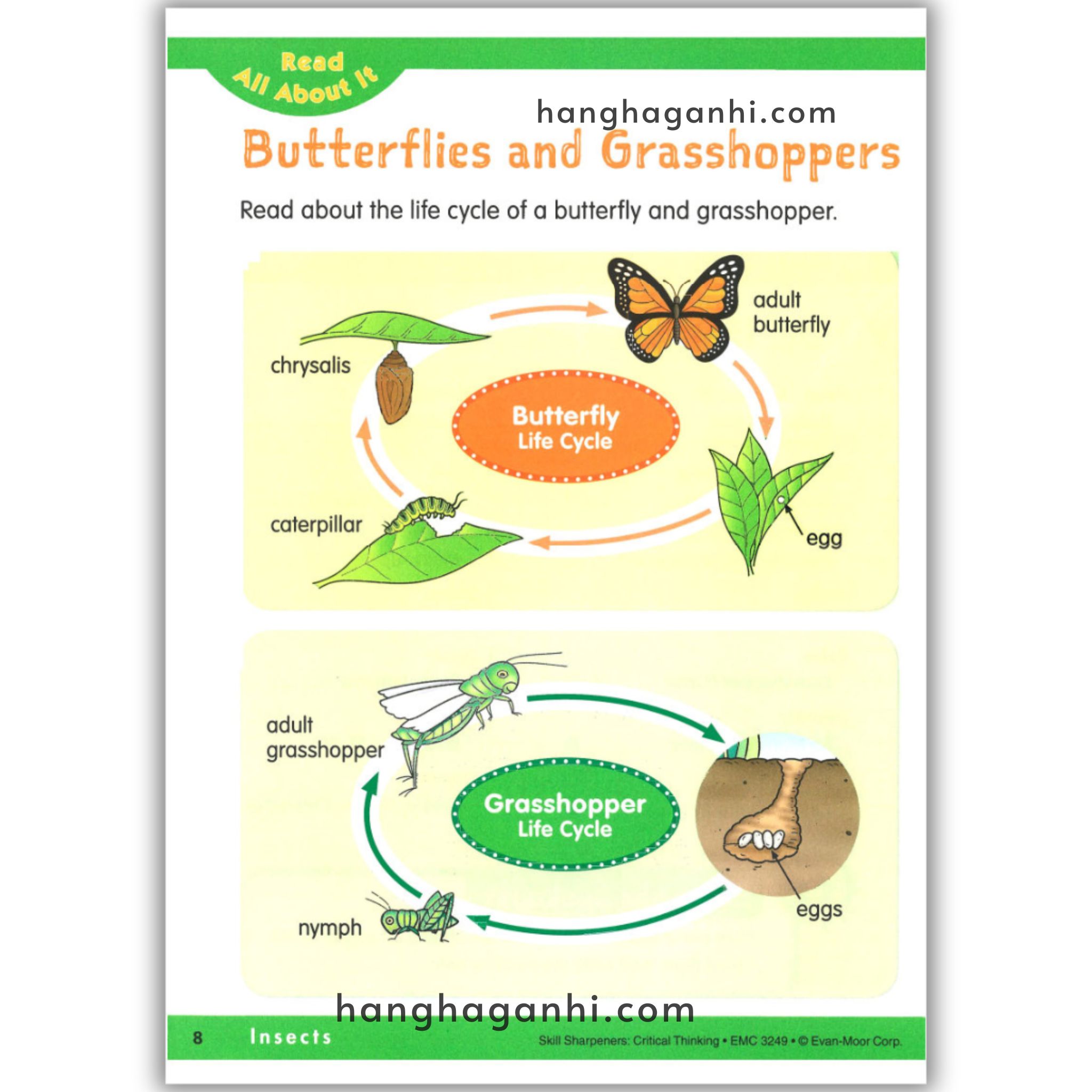 Skill Sharpeners Critical Thinking Pre-K_thumbnail_5