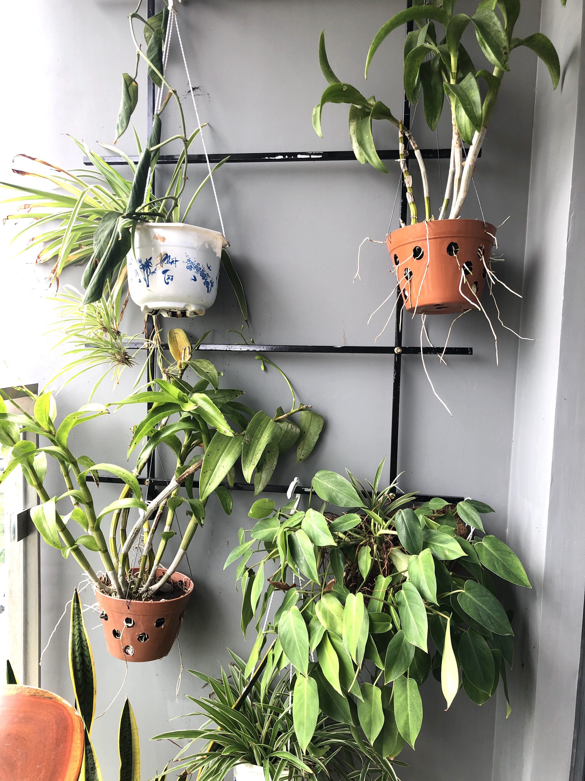 Chính chủ gửi bán nhanh căn hộ 1PN - giá tốt nhất thị trường để đầu tư_thumbnail_2