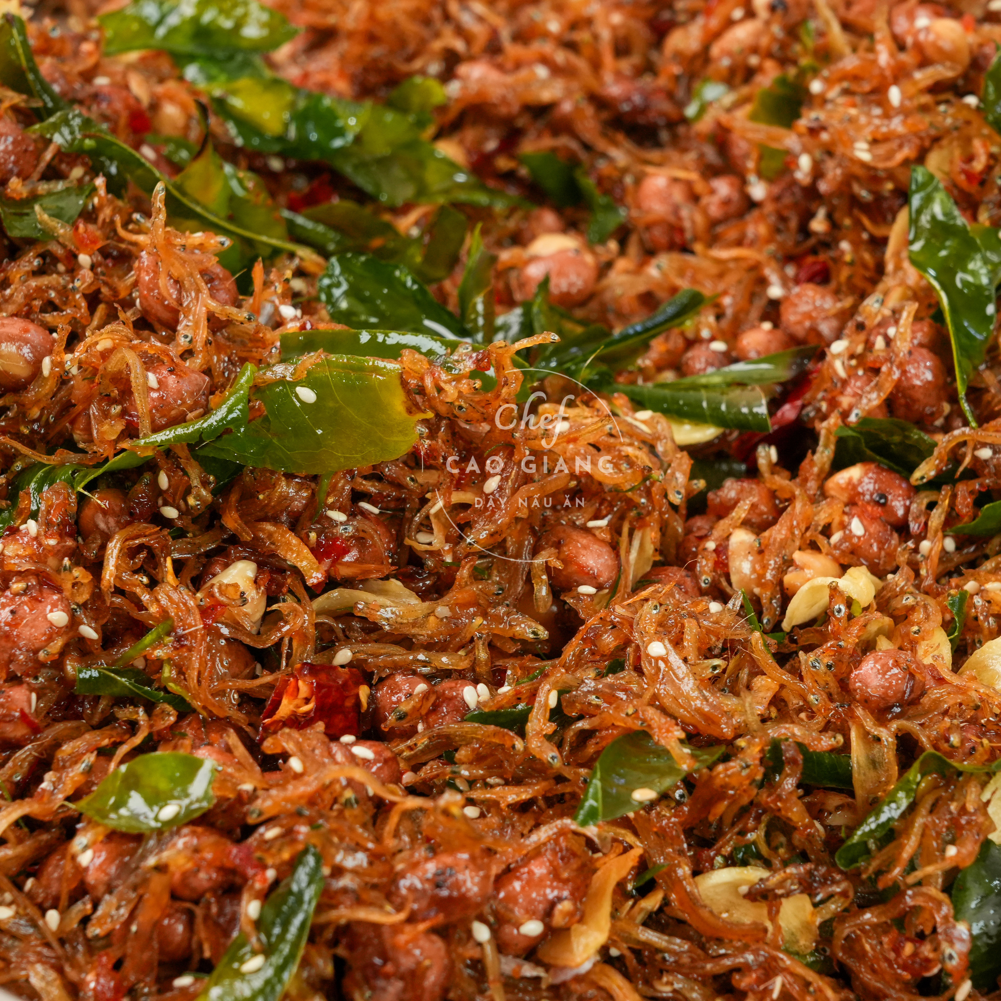 Lớp Cá Cơm Xóc Lạc_thumbnail_1