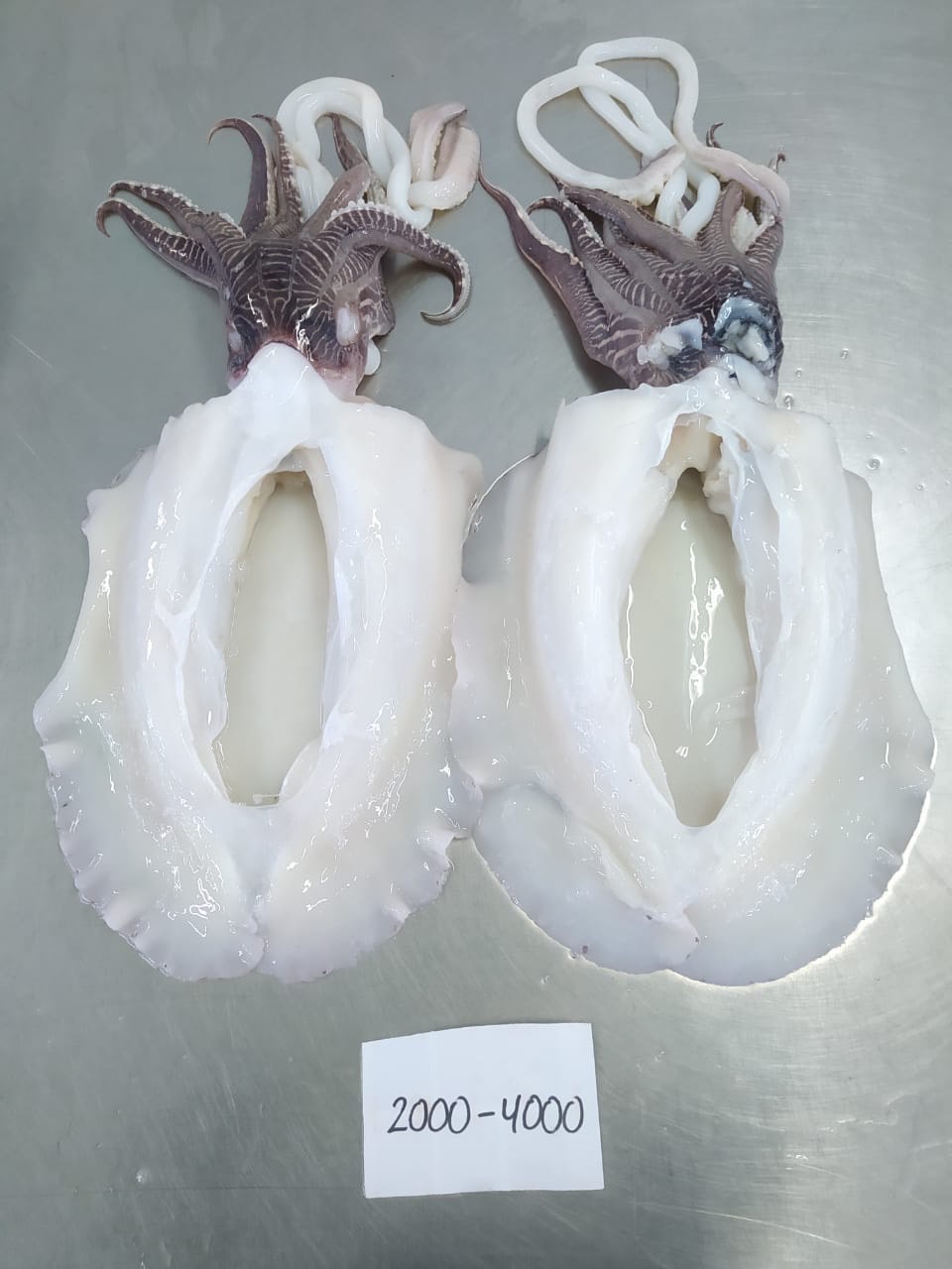 Mực nang làm sạch Loại 1_thumbnail_3