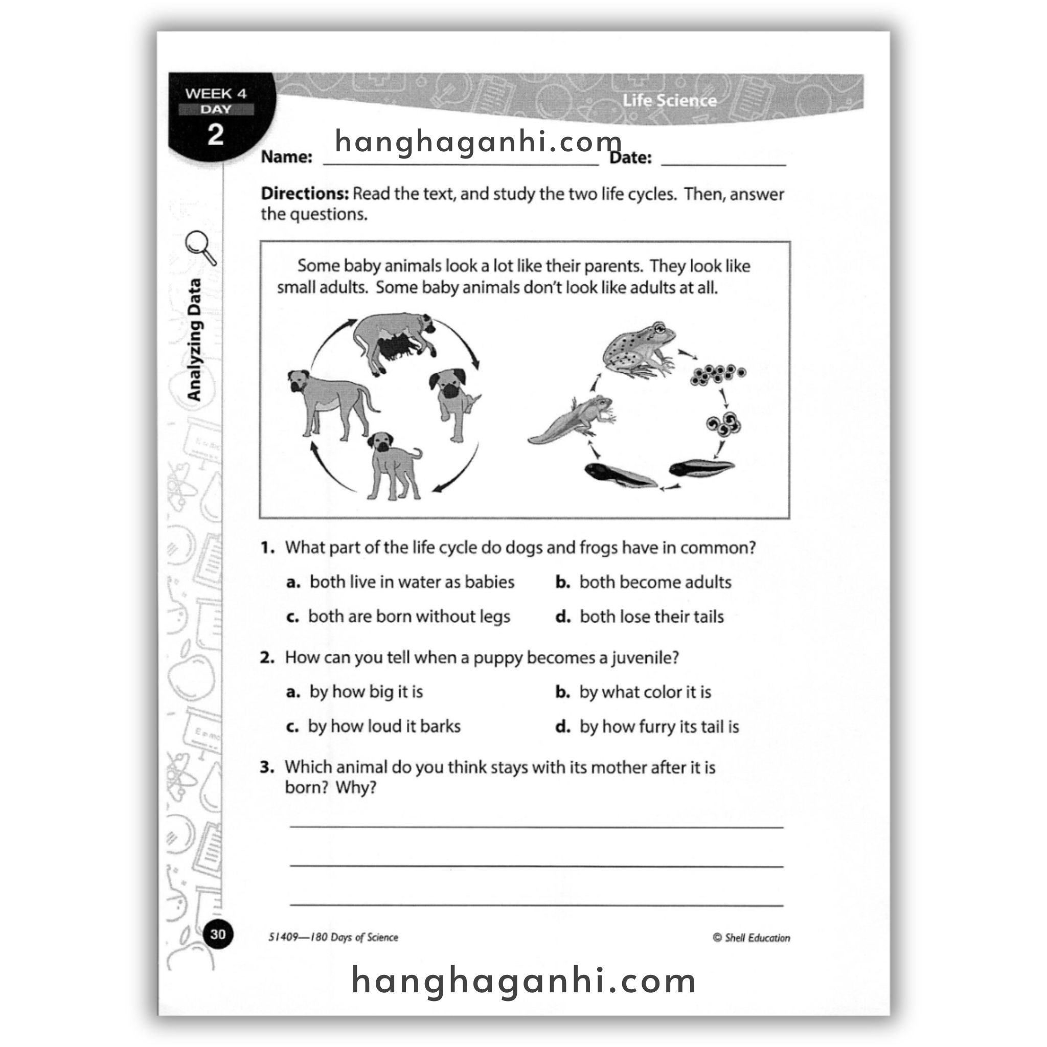 Sách 180 Days of Science for Grade 3_thumbnail_13