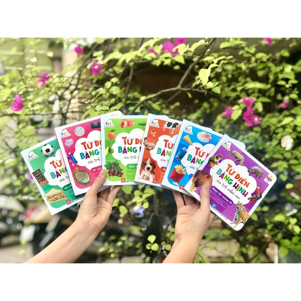 Combo 6c Từ điển bằng hình cho trẻ mầm non