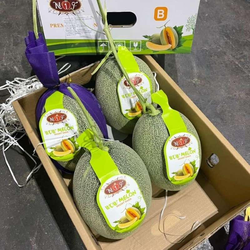 Dưa Lưới Đài Loan (WOW-N1F)_thumbnail_2
