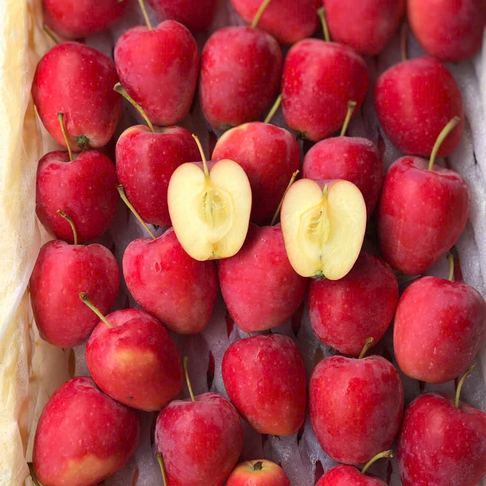 Táo Cherry_thumbnail_2