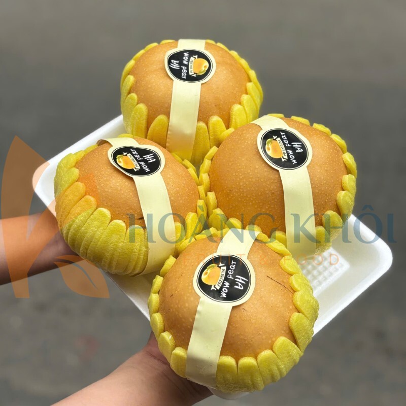 Lê Nâu (SinGao)_thumbnail_4