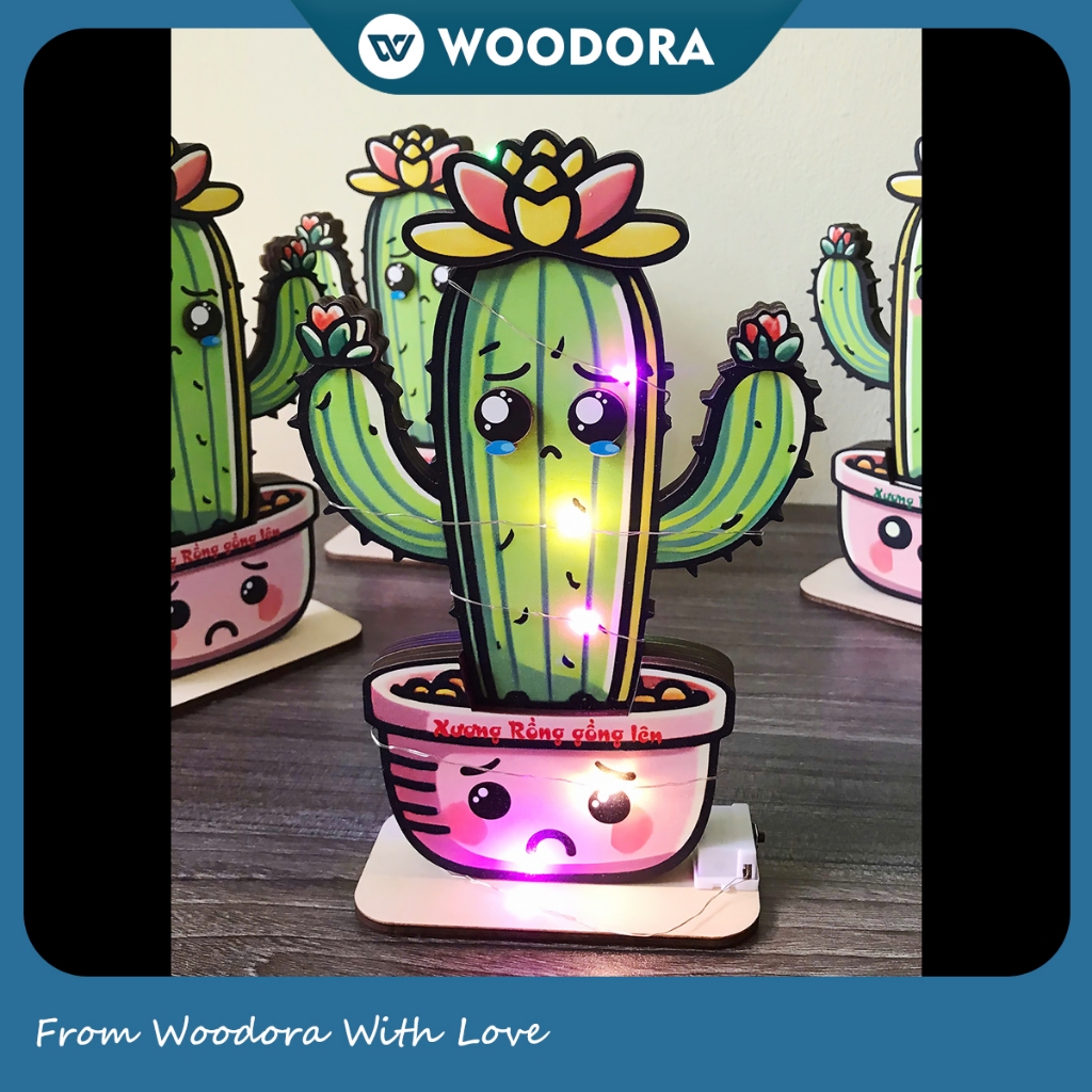 Xương Rồng Gỗ Bất Tử - 2 Mặt Cảm Xúc Buồn Vui, Decor Bàn Học & Bàn Làm Việc