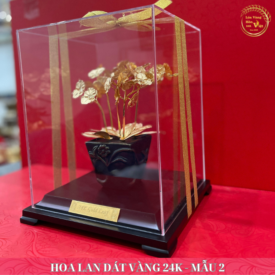 HOA LAN DÁT VÀNG 24K - MẪU 2_thumbnail_4