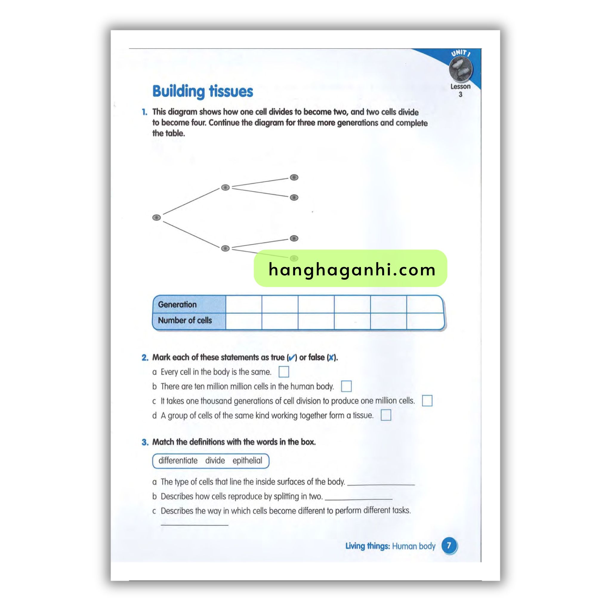 Macmillan Science 6 Workbook_thumbnail_16