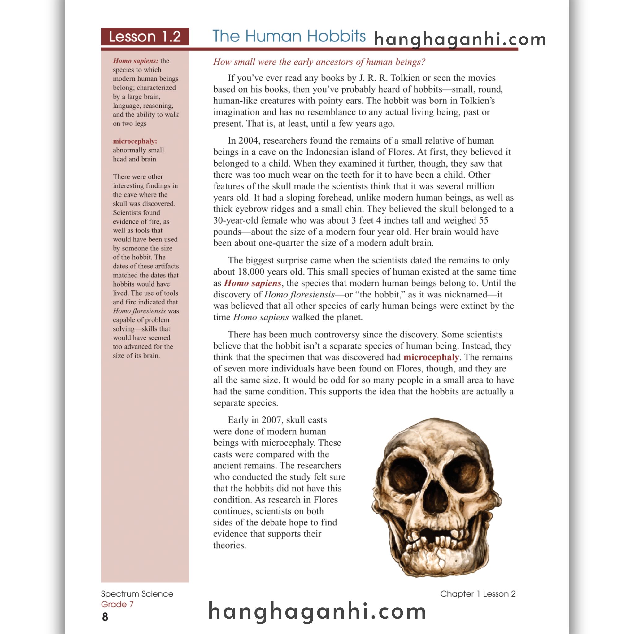 Sách Spectrum Science Workbook Grade 7_thumbnail_12