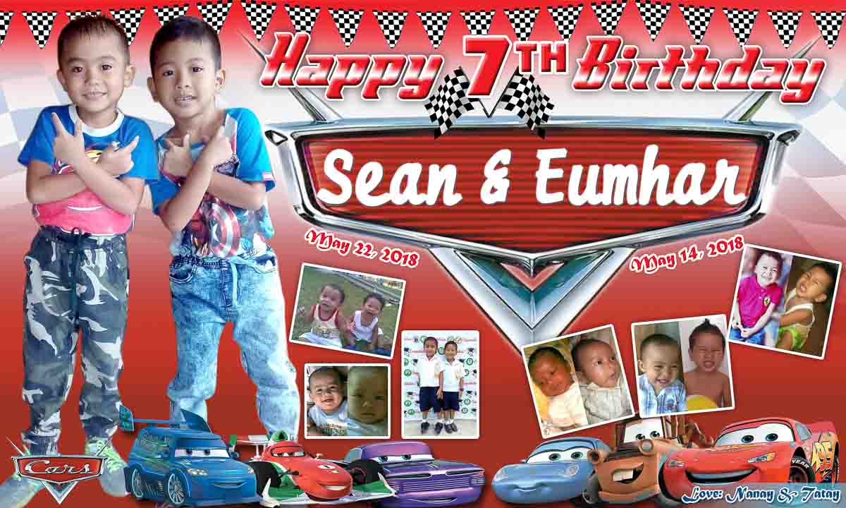 Cars Theme Birthday Tarp_thumbnail_2
