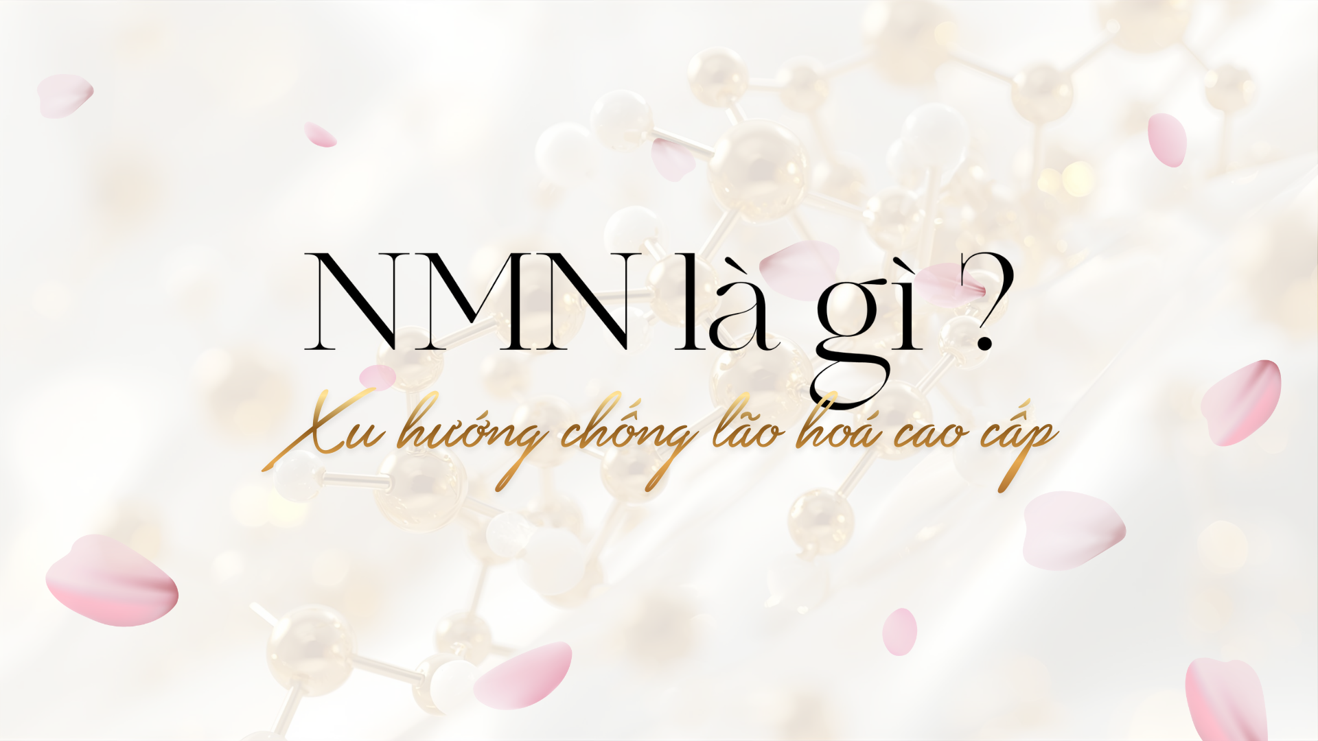 NMN là gì? Viên ngọc quý cho sức khỏe hay chỉ là lời đồn?