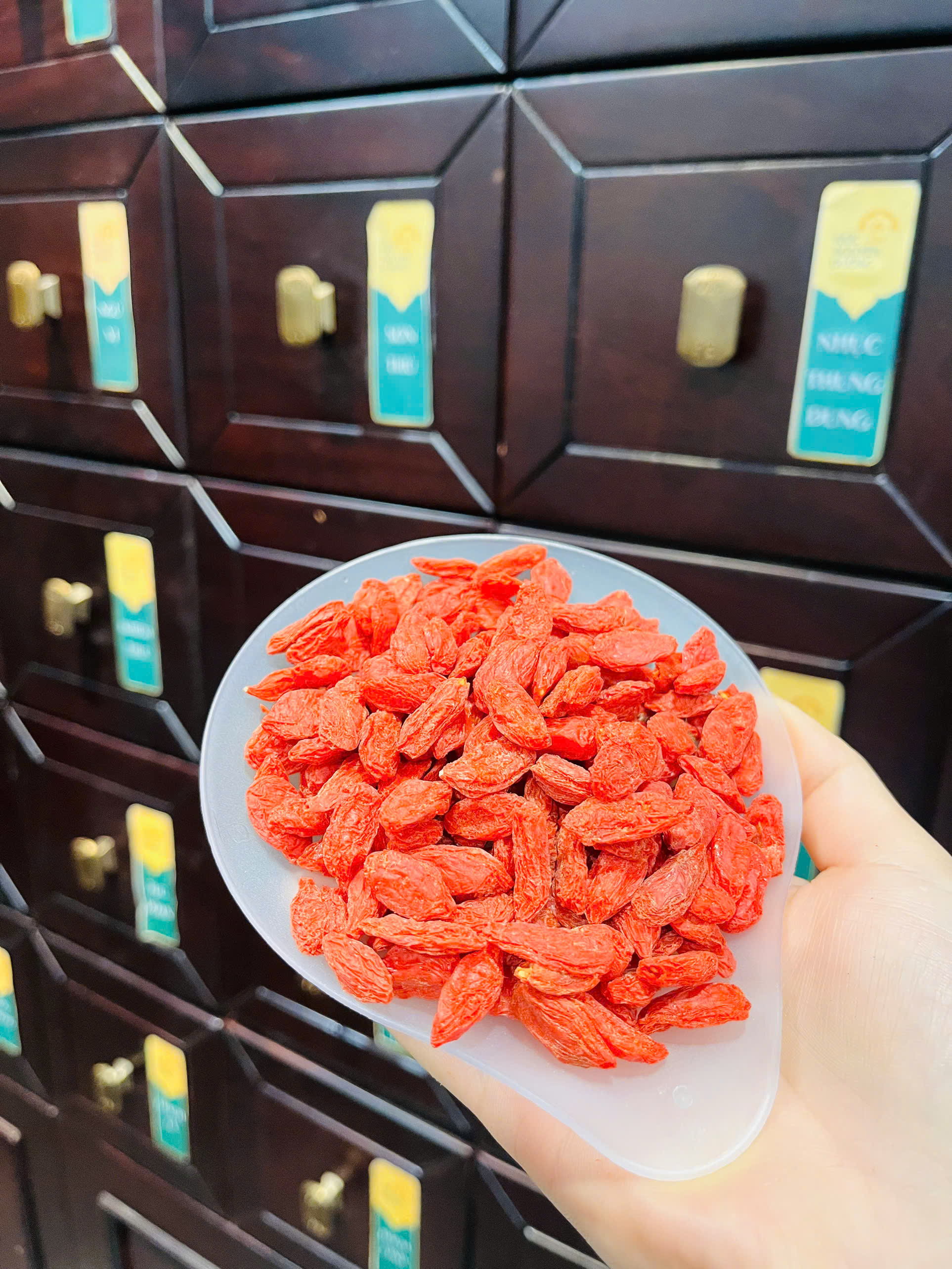 Kỷ Tử- Thần Dược Bổ Can Thận, Sáng Mắt