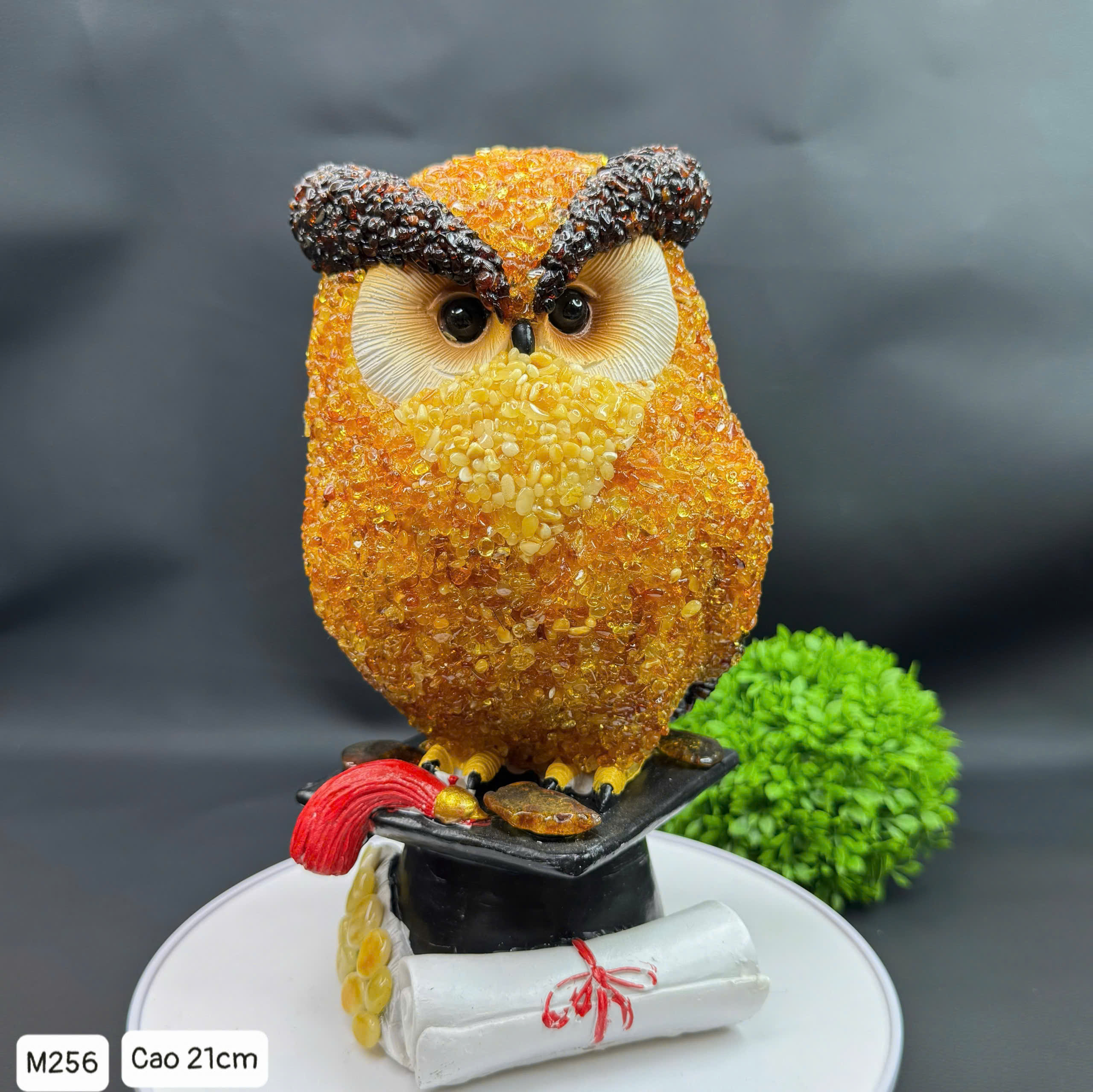 z6795849336808_aeed463ff2e8984ec28de73e4e68b792