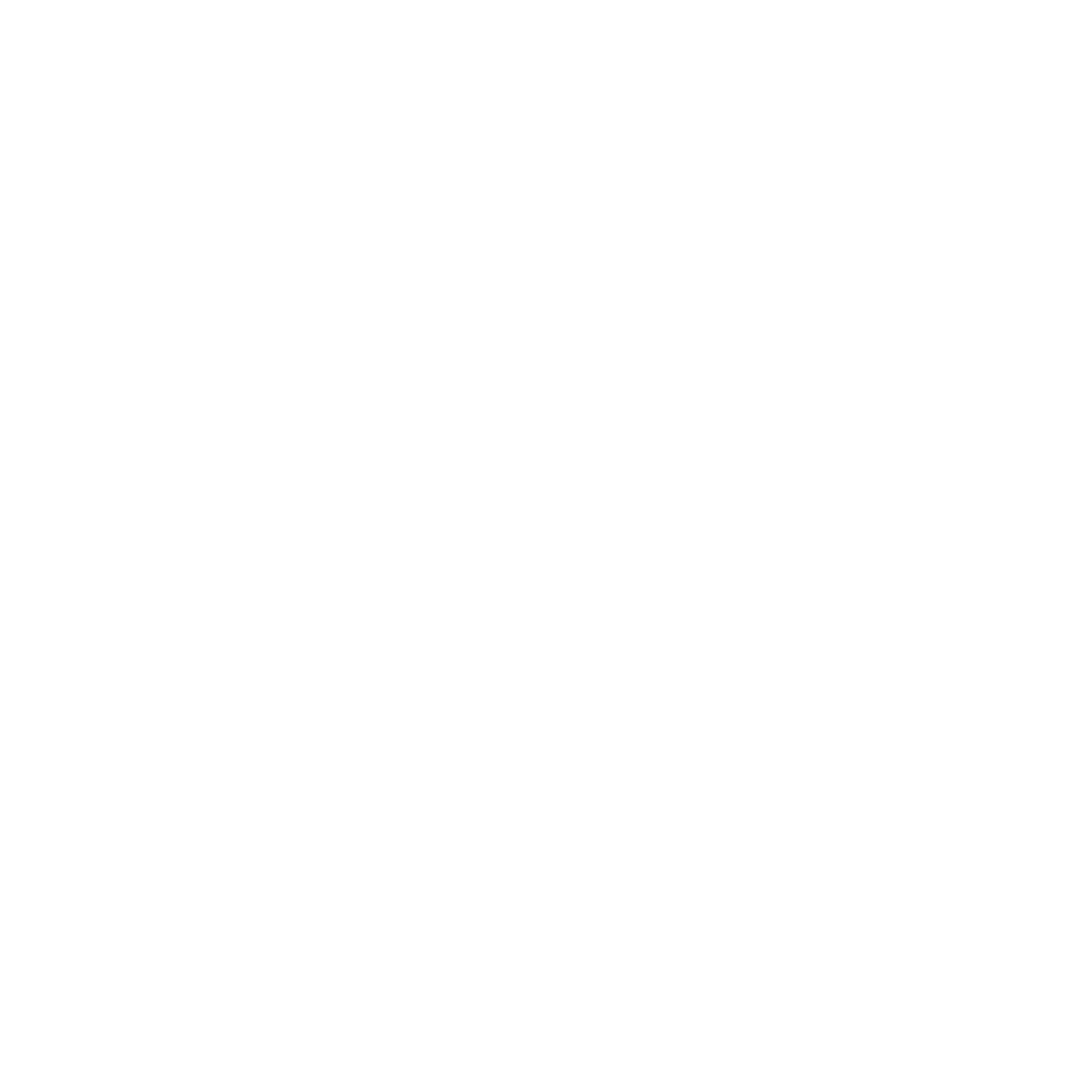 LAZADA ICON(2)