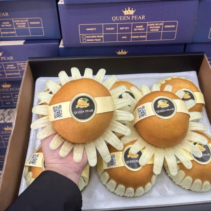 Lê Nâu (Queen Pear)