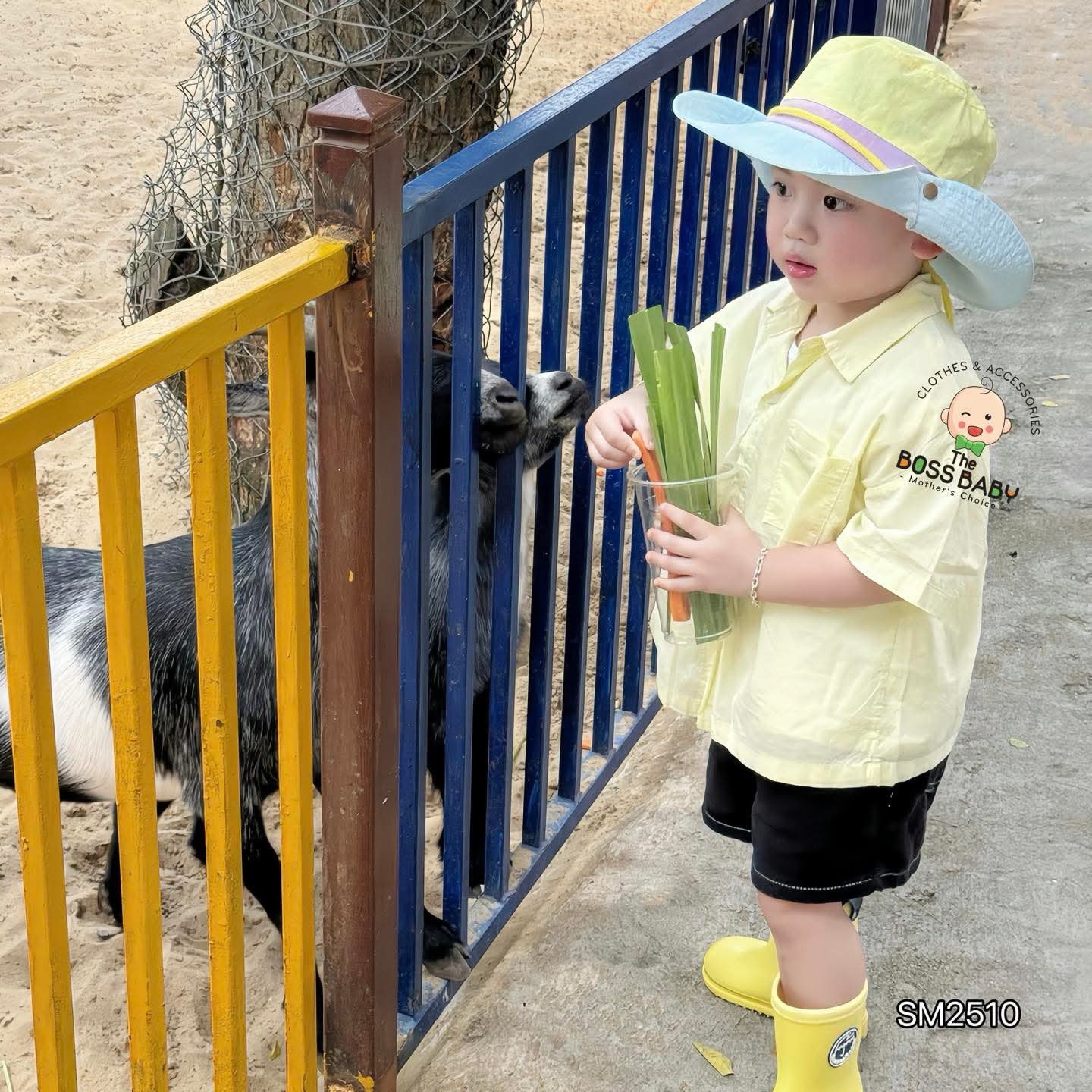 Áo sơmi thô vàng dừa túi ngực_thumbnail_1