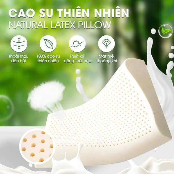 Gối Cao su thiên nhiên Ann 50x30x7/9cm