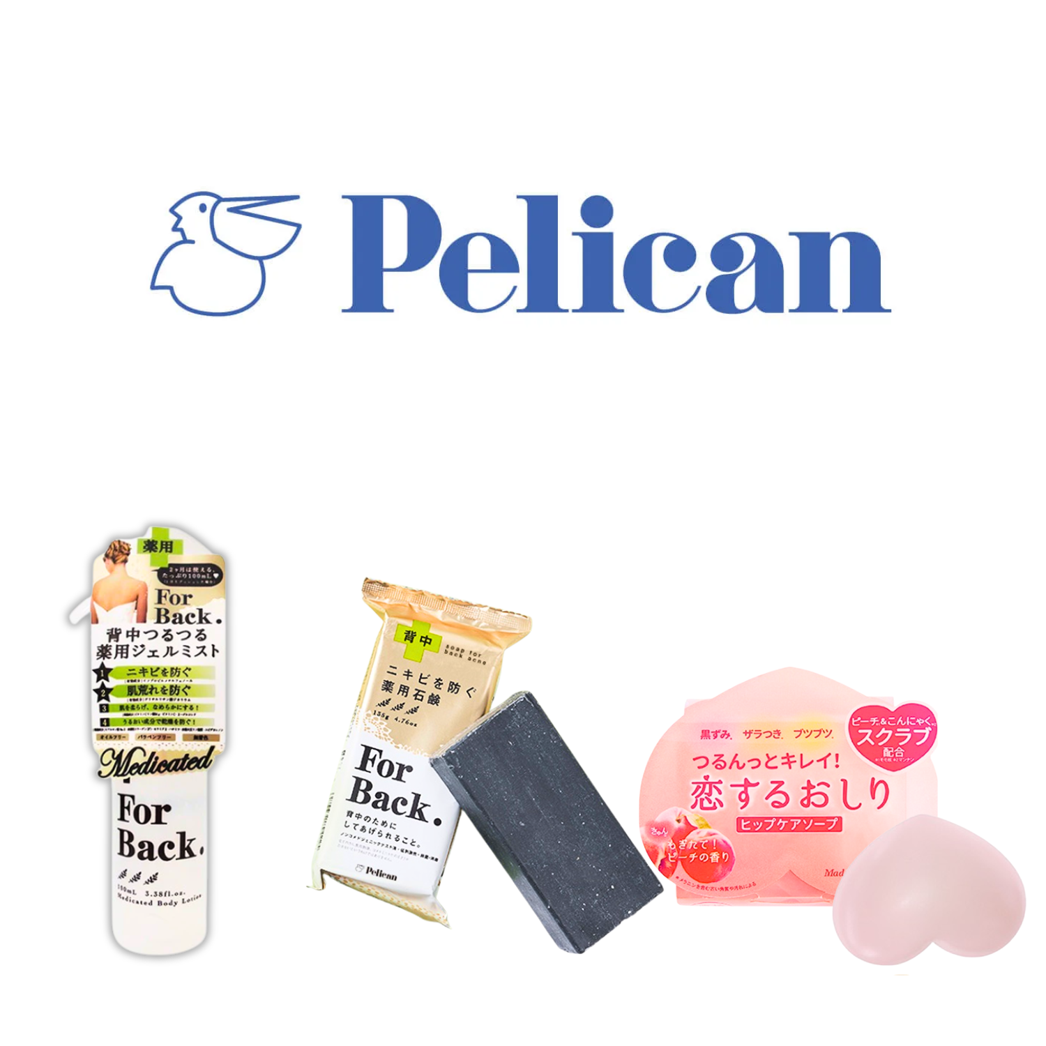 PELICAN_13