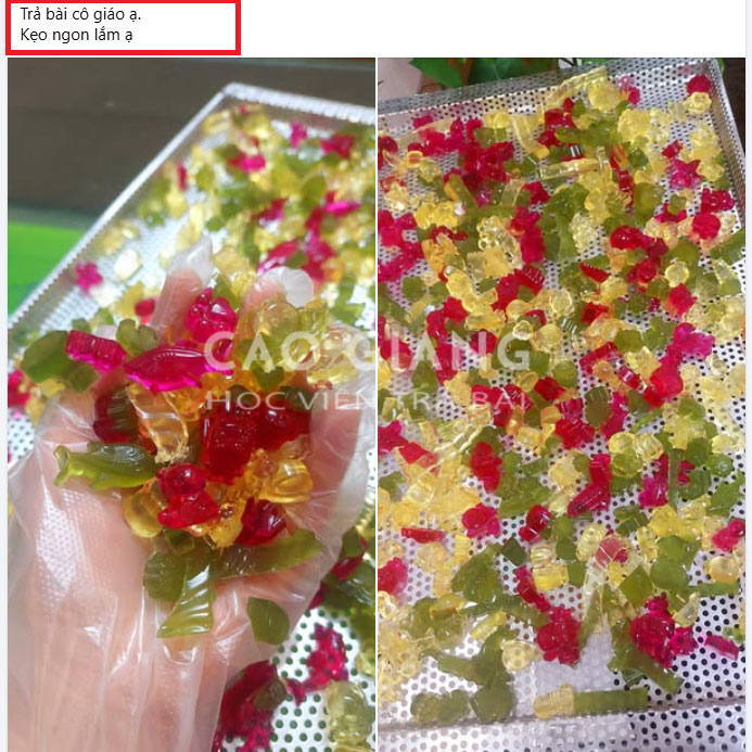 Lớp Kẹo Chíp Chíp_thumbnail_13