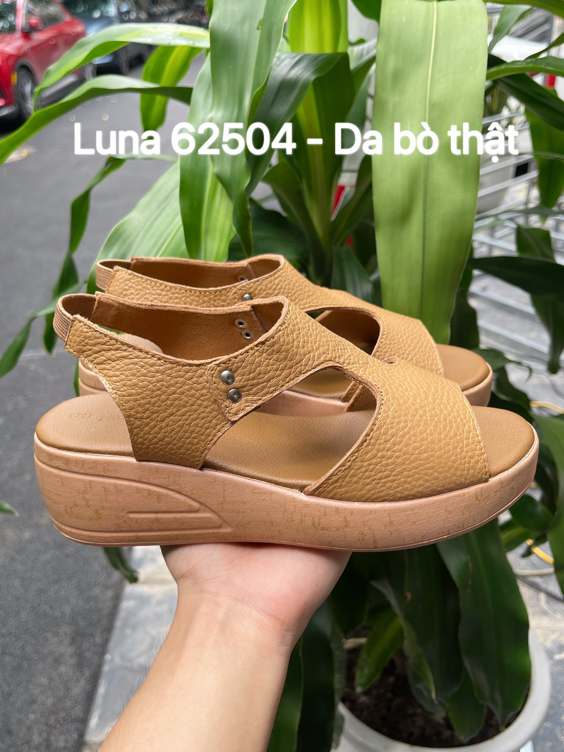 Luna 62504_thumbnail_2