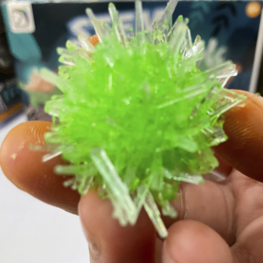STEM Dinosaur Crystal_thumbnail_3