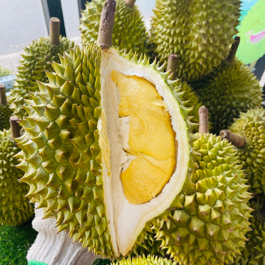 Trái Loại 1 - Sầu Riêng Ri6 MIỀN TÂY ( VIETGAP )_thumbnail_2