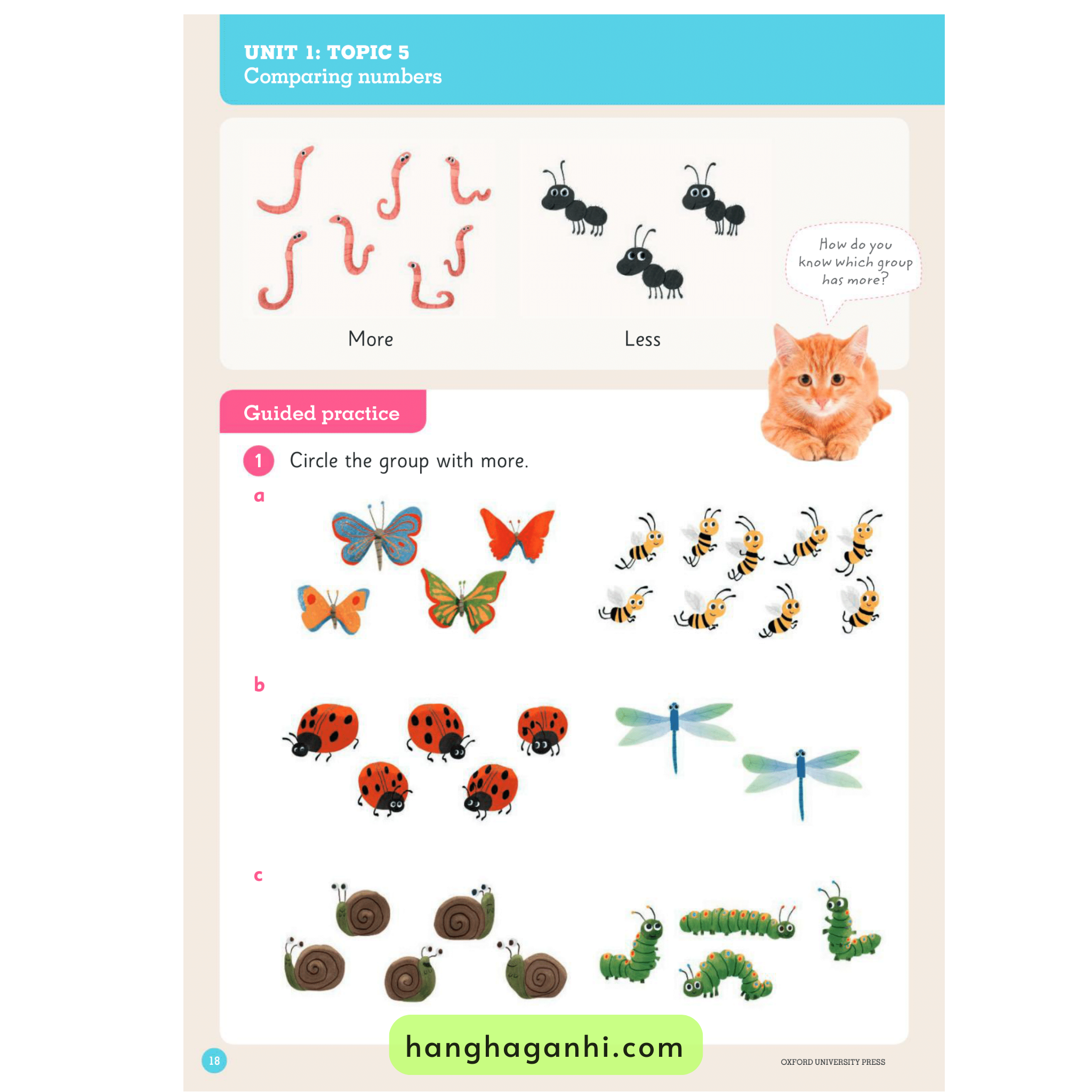 Toán Tiếng Anh Oxford grade K, Oxford Mathematics Primary Years Programe_thumbnail_1