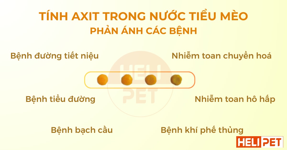 Dr. Vet pH test granules for cat urine