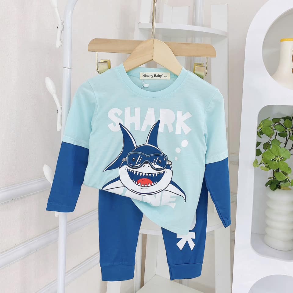 D88 BỘ DÀI TAY MINKY NHIỀU HÌNH ( ngẫu nhiên ) - A003.104