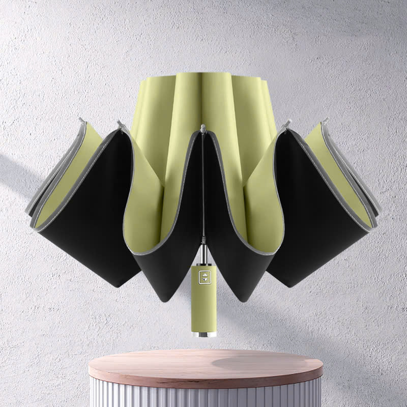 DÙ MINI_thumbnail_2