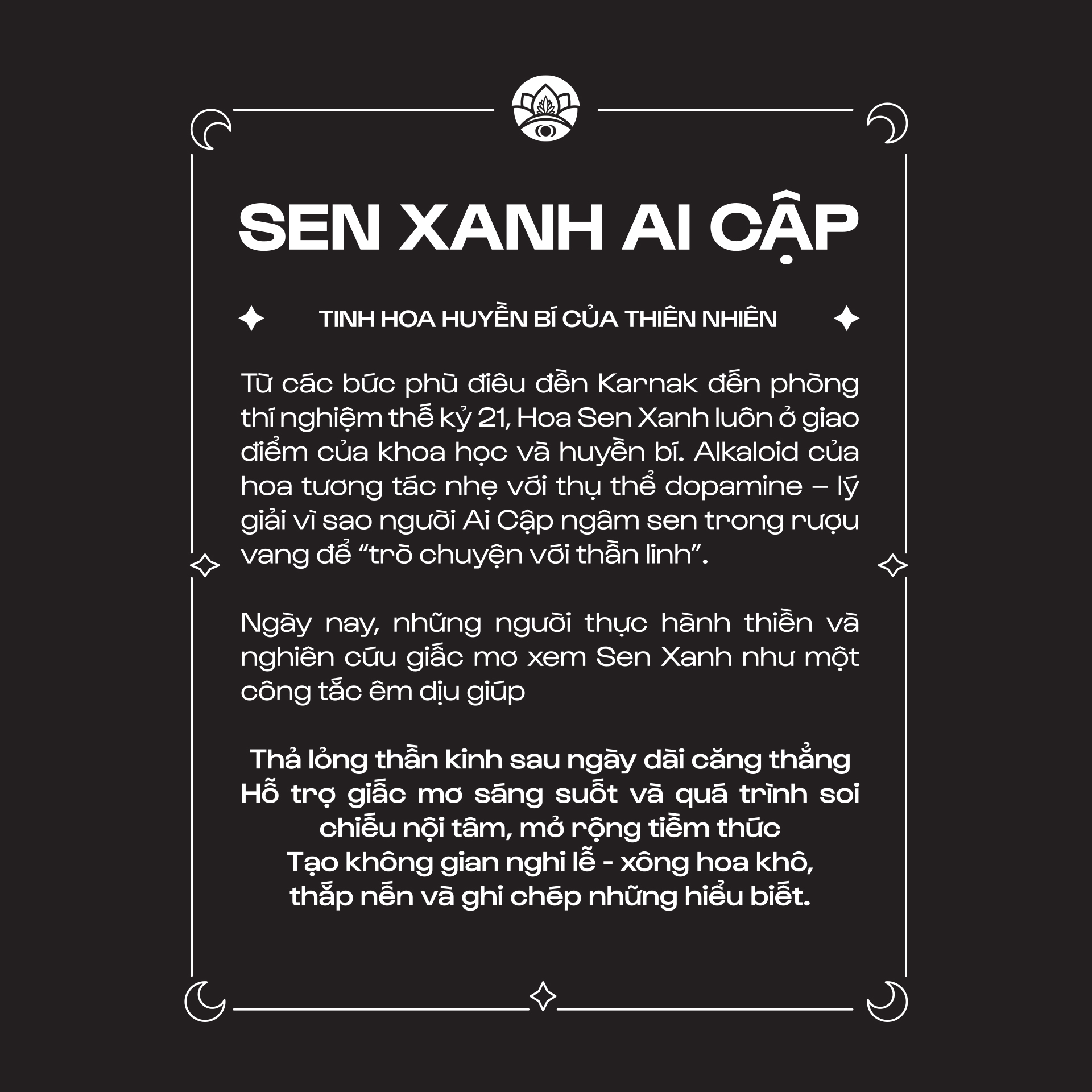 Blue Lotus - Sen Xanh Ai Cập - Cánh hoa lặt thủ công - Nguyên Liệu Thô | Hoa Khô_thumbnail_4