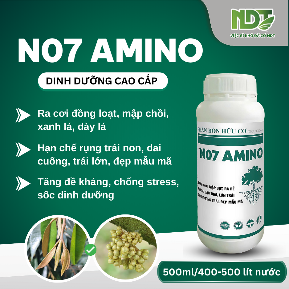 N07 AMINO_thumbnail_1