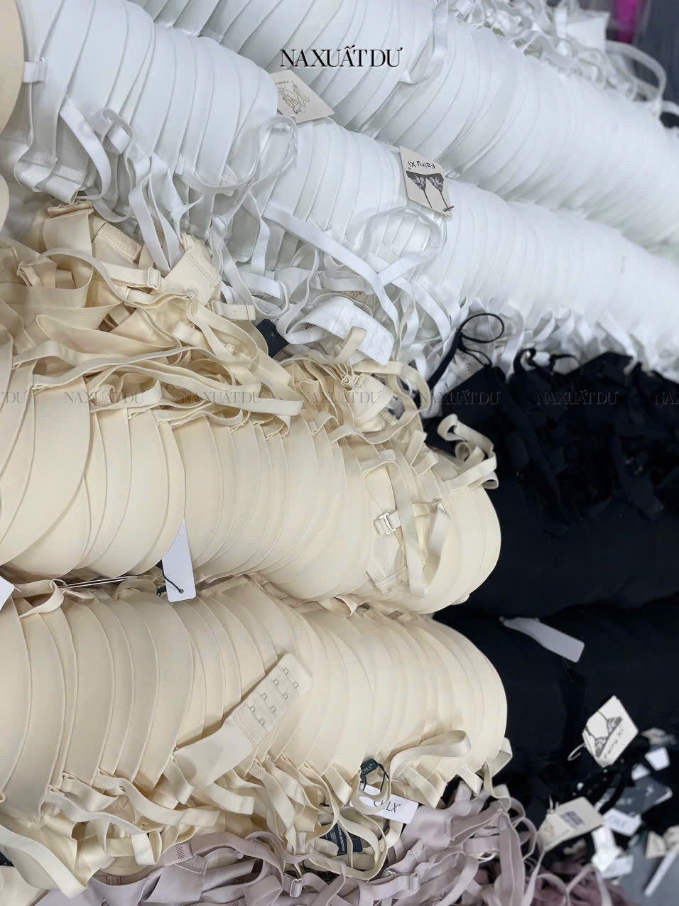 Set 2 Áo ngực " Fairy Xi & Chilx " mix màu không trùng - B14