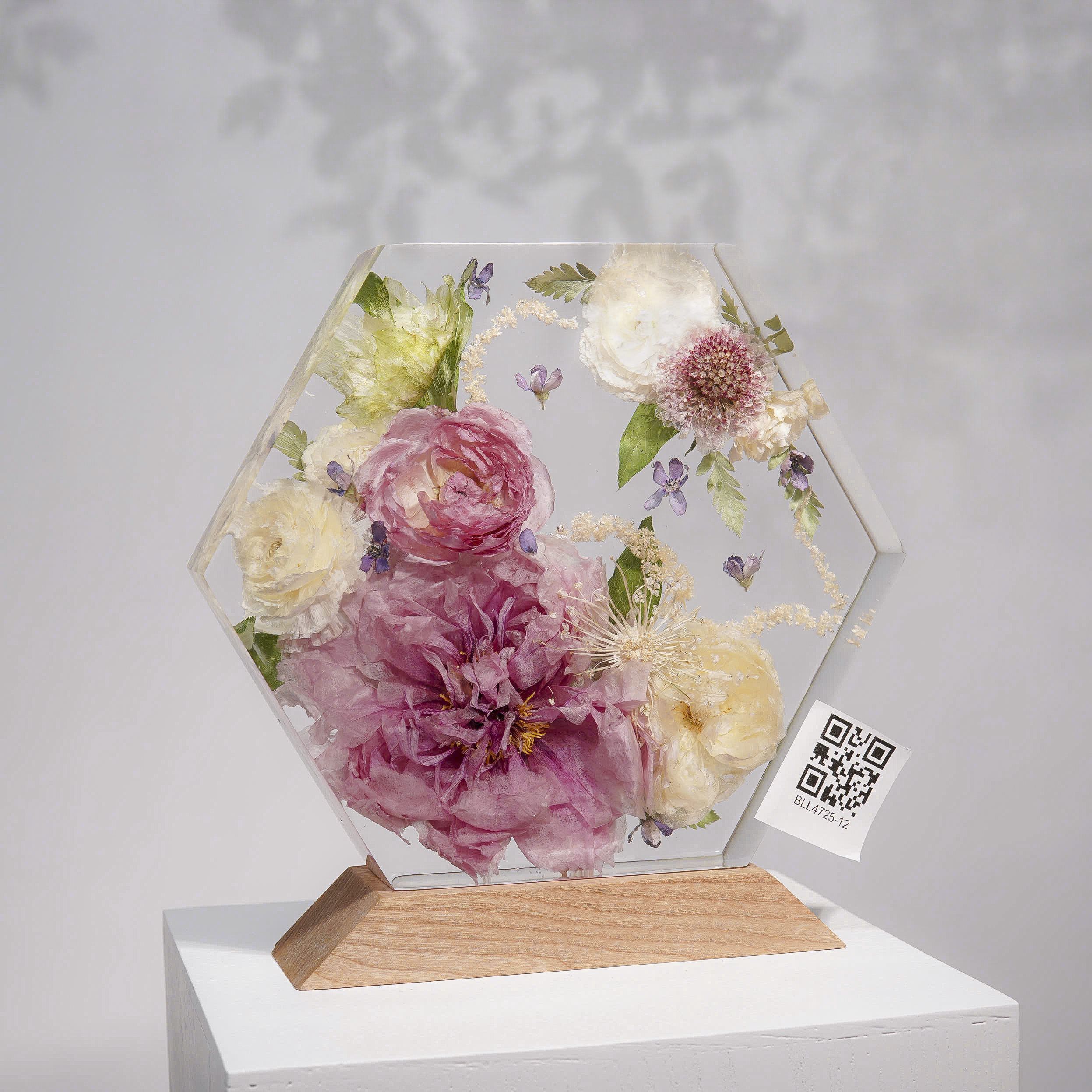 Đèn Hoa Độc Bản Bloomlight BLL4725-12