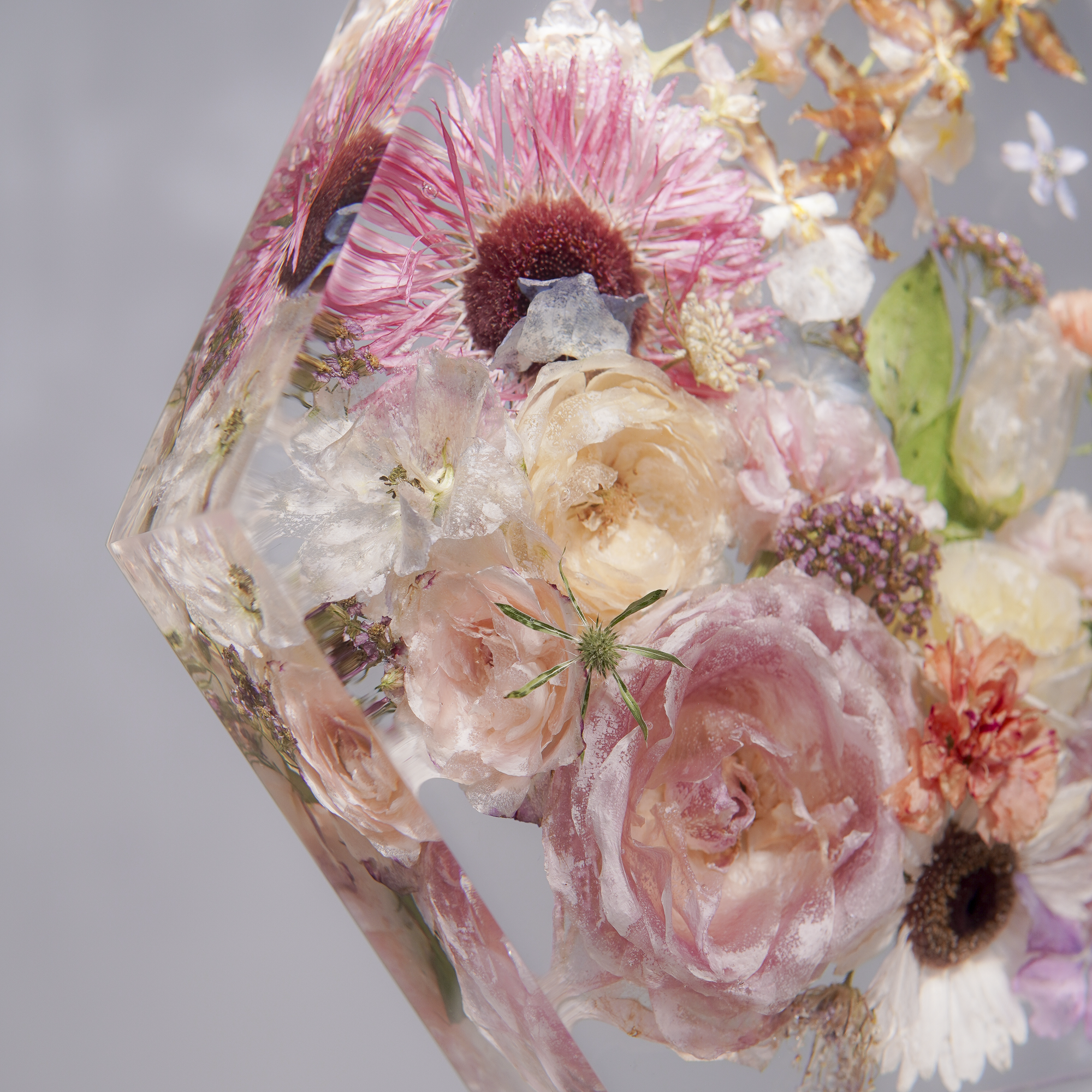 Đèn Hoa Độc Bản Bloomlight BLL2409-21