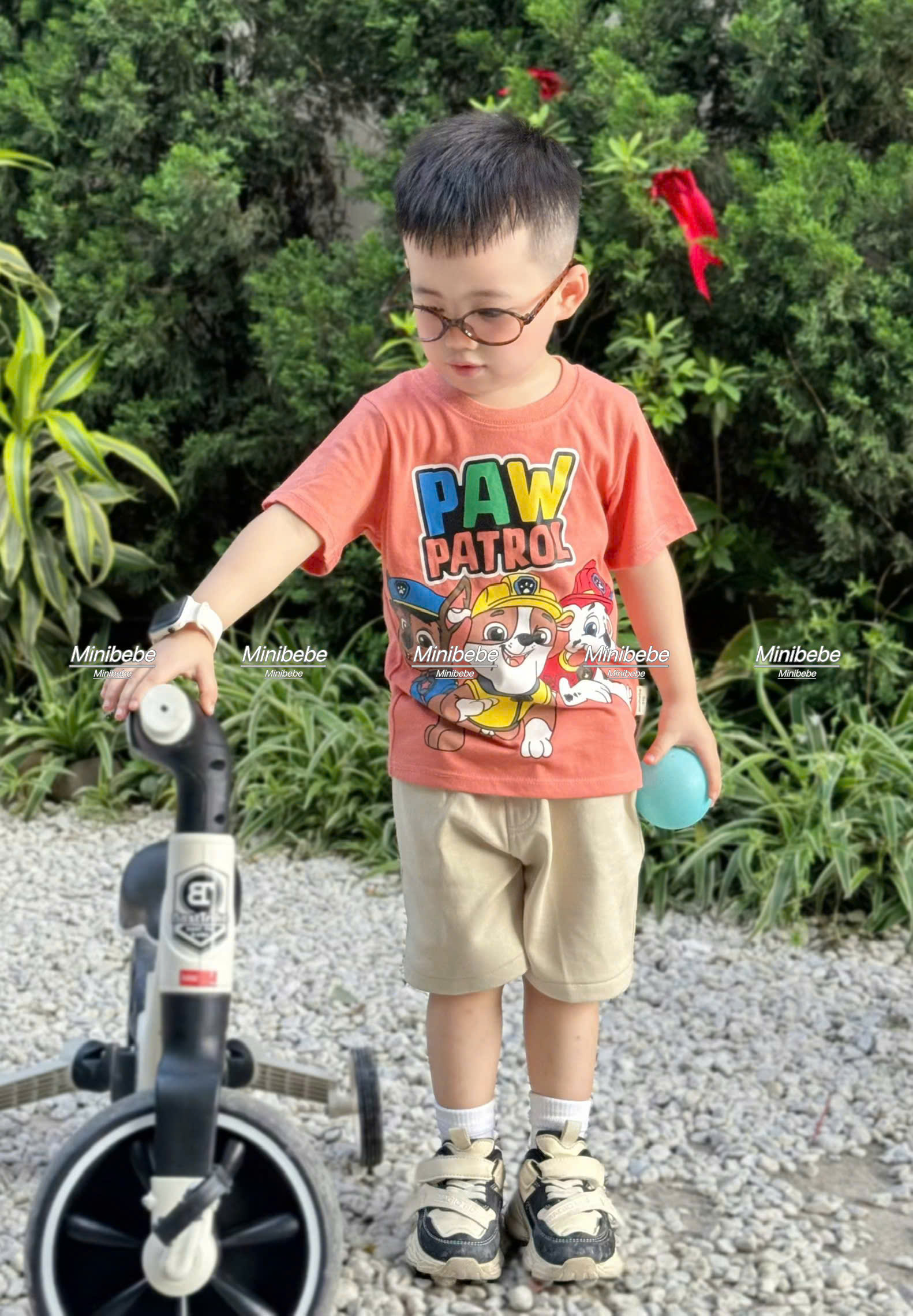 T71 BỘ CỘC ÁO CHÓ VÀ CHỮ 3 MÀU - A117.1739