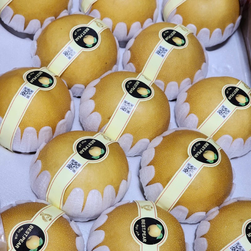 Lê Nâu (SinGao)_thumbnail_2