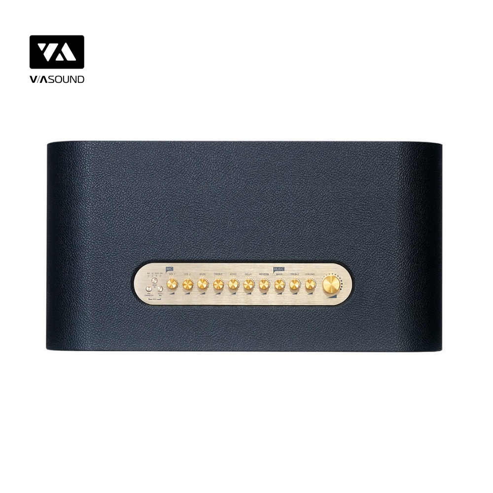 Loa Kéo ACNOS ACOUSTIC 3_thumbnail_5