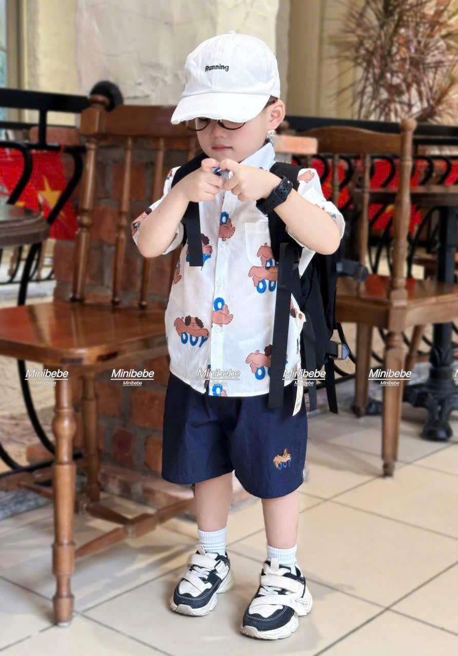 R72 BỘ SƠ MI NHIỀU CHÓ NẰM DÀI- A108.300_thumbnail_2