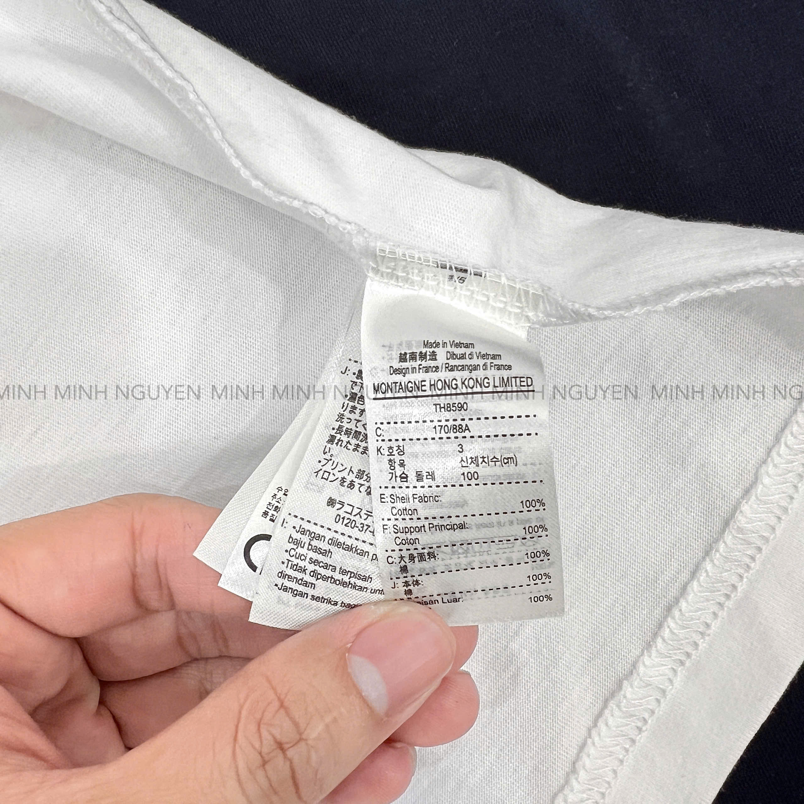 AO THUN CÁ SẤU_thumbnail_12