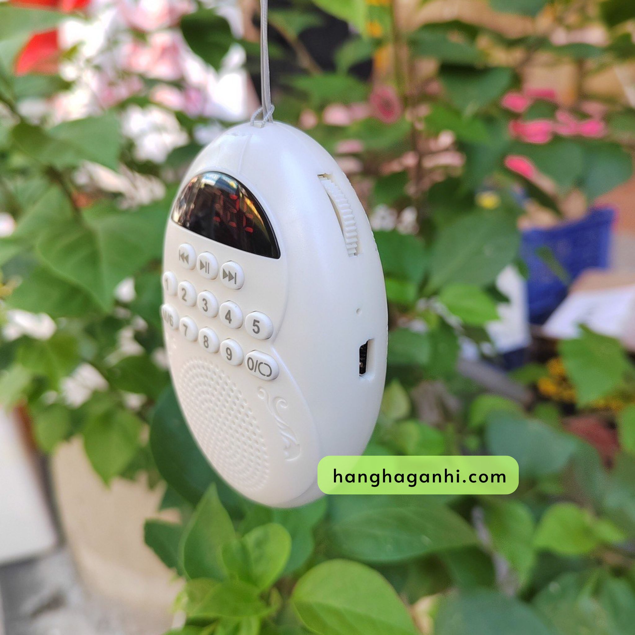 Loa giọt nước_thumbnail_2