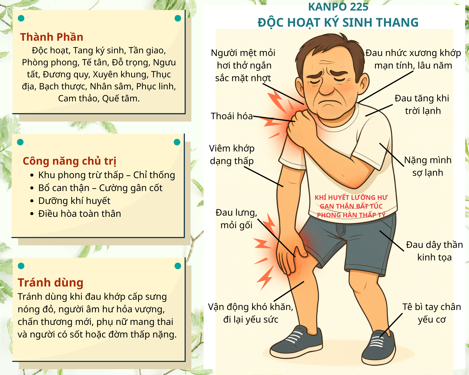 Kanpo 225 - Giảm đau nhức xương khớp, thoái hóa, thoát vị , tê bì tay chân