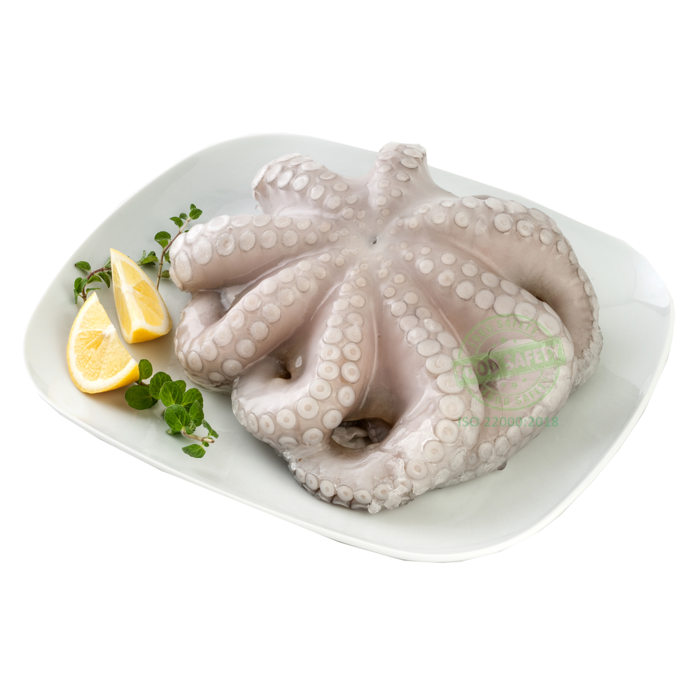 Bạch tuộc | 1.1KG