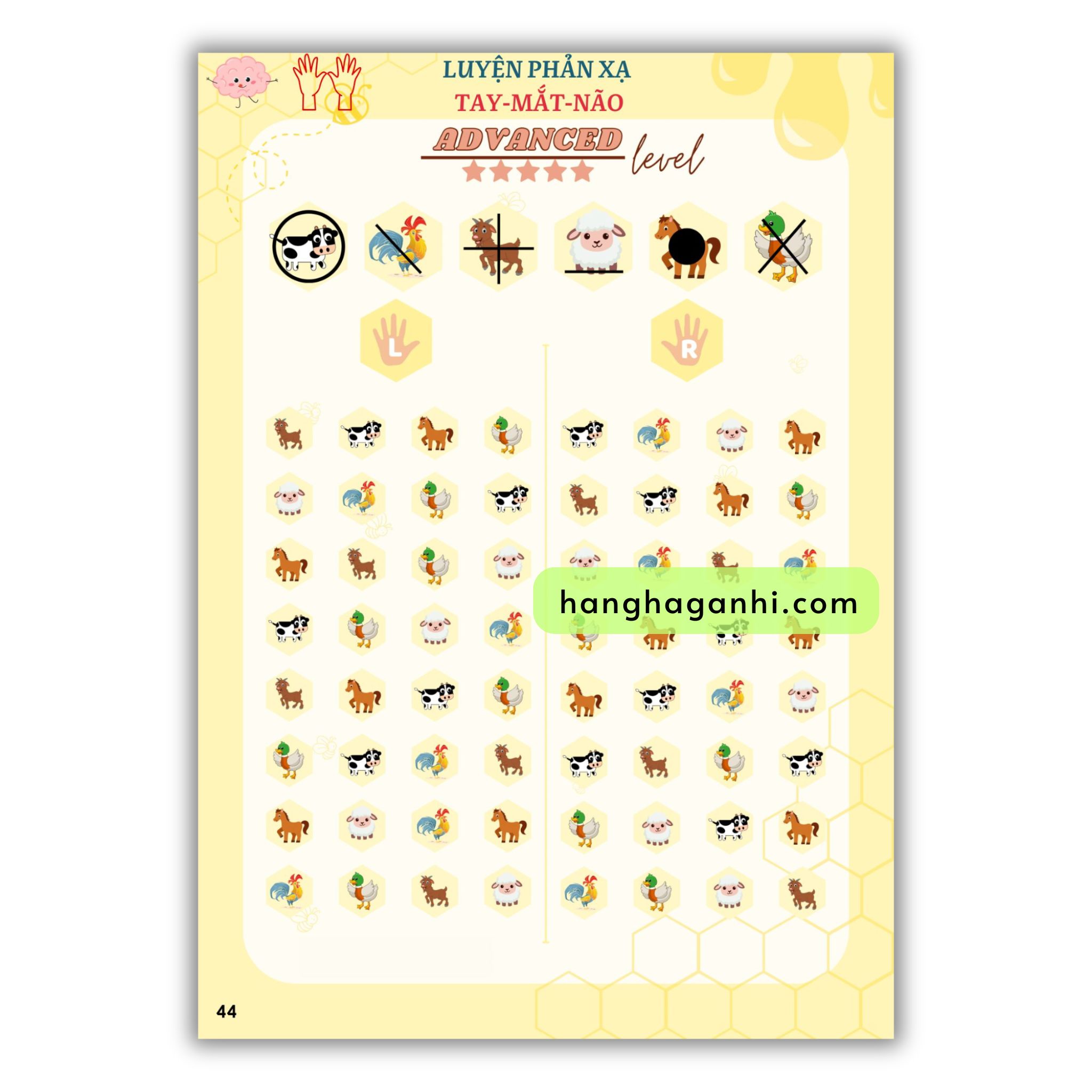 Học liệu tư duy luyện phản xạ tay mắt não, ép plastic tặng kèm 2 bút viết xóa_thumbnail_8